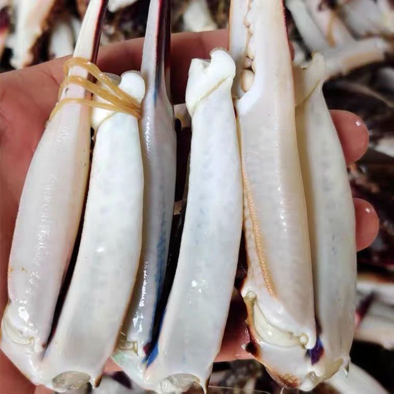 蟹钳冷冻新鲜梭子蟹鲜活脚大螃蟹脚批发批发价大号冰冻梭子蟹批发