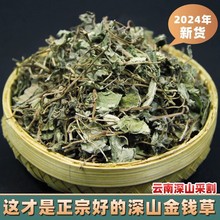 小叶金钱草500g克正宗野生小叶金钱草干溶 石 结石大山马蹄金包邮