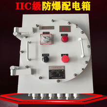 IIB IIC级防爆配电箱 氢气乙炔二硫化碳环境防爆照明动力配电箱