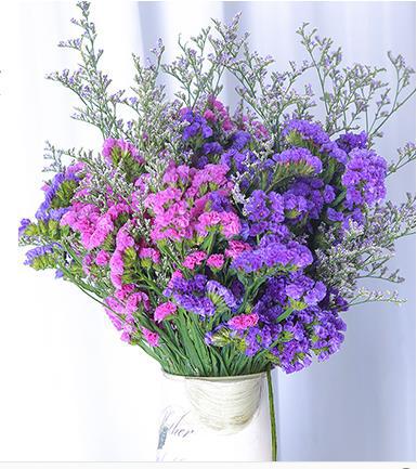 云南鲜花直发:勿忘我干花鲜花花束结婚家庭办公室插花~招代理!