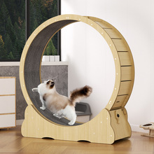 2022新款猫咪跑步机 多色圆形猫猫跑轮玩具 健身滚轮实木猫爬架