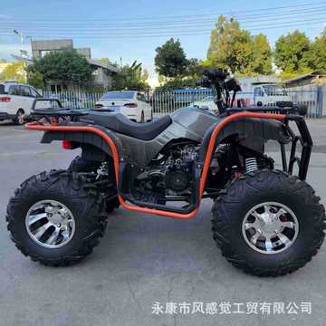 四轮越野四驱防震汽油自动挡摩托车全地形大公牛小公牛沙滩车