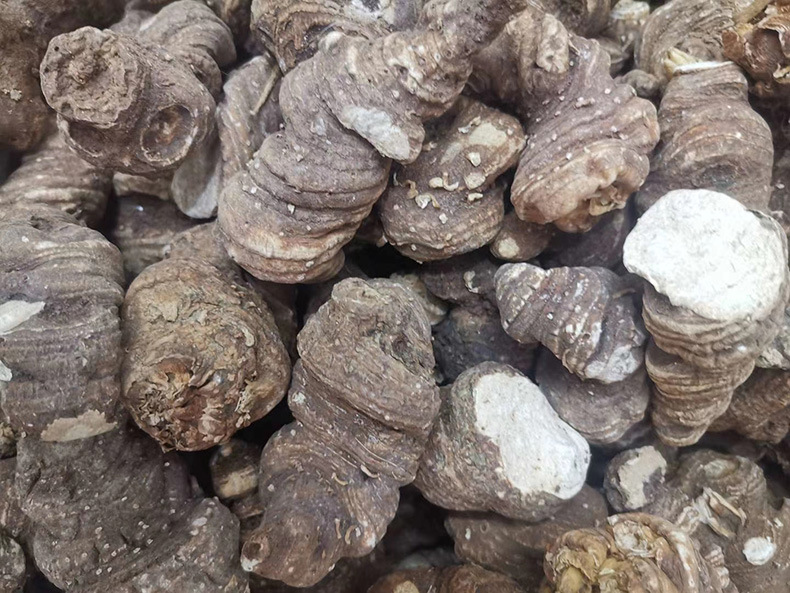 云南滇重楼片蚤休草河金线重楼 七叶一枝花独角莲重楼切片批发