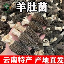 Zqv【个大肉厚】精选头茬羊肚菌干货批发煲汤食用菌滋补云南特产