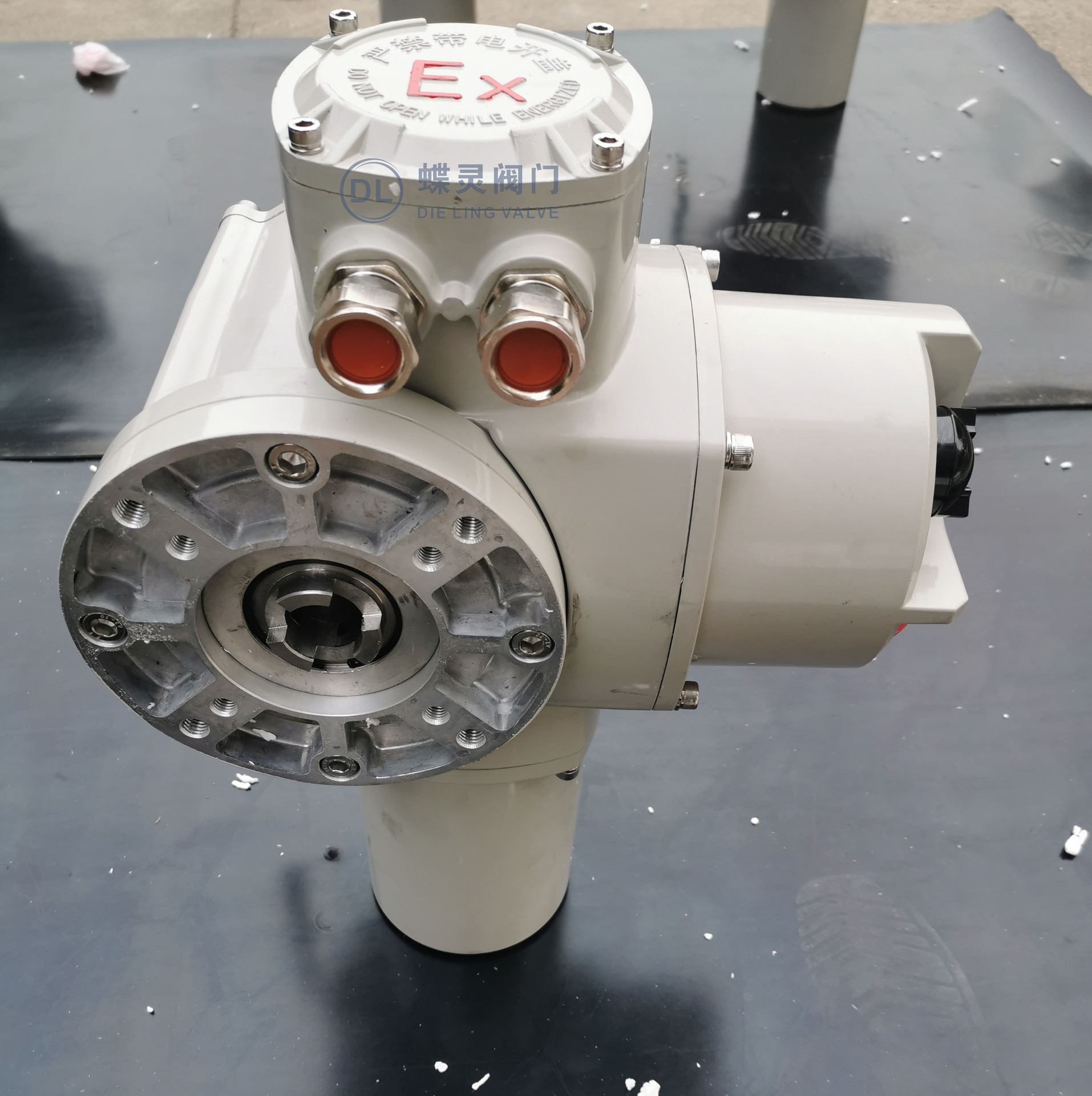 智能一体化执行器