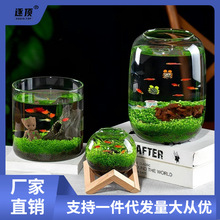 生态缸水培微景观绿植套装创意迷你植物玻璃鱼缸小型家用造景水草