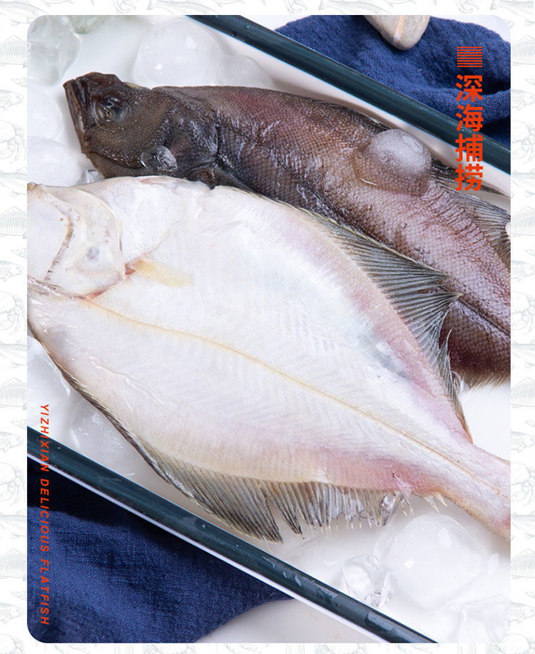 5斤包邮鲜活速冻大偏口鱼比目鱼鸦片鱼野生深海鱼大鲽鱼新鲜整条