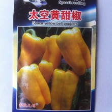 厂家批发  太空黄甜椒种子20粒/袋