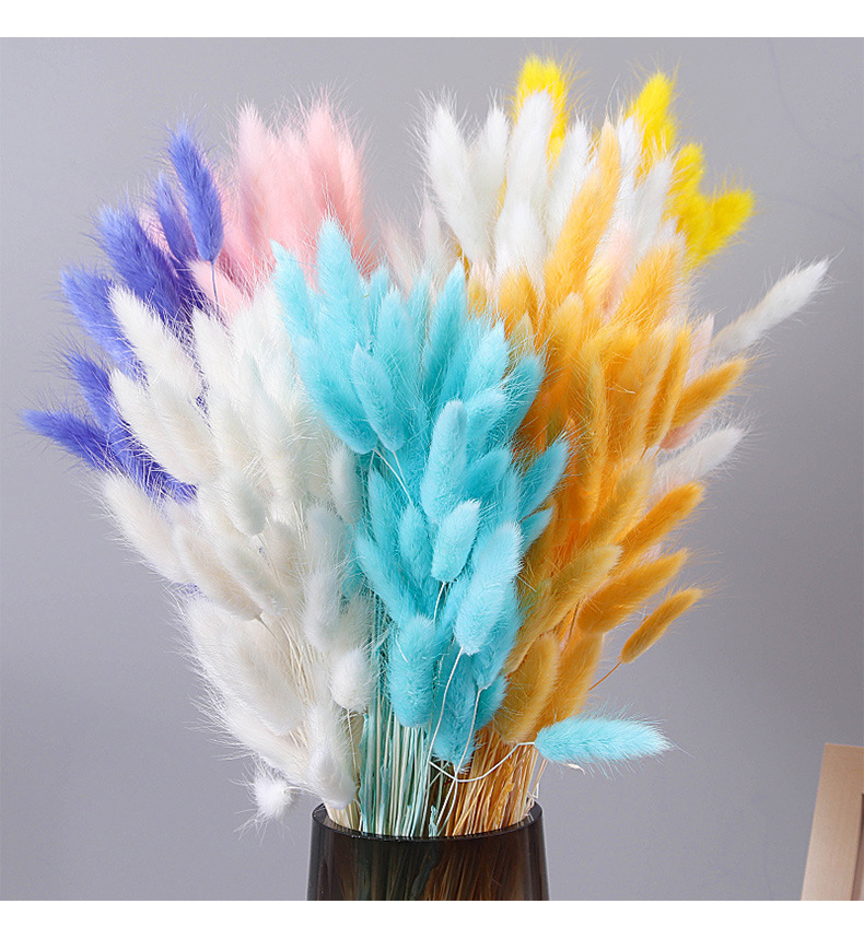 染色兔尾草干花狗尾巴草插花花束配材居家装饰永生花干花定制批发