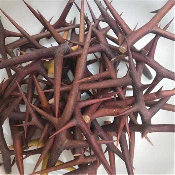 野生新鲜干货皂荚刺500g精选纯刺中药材皂刺天然皂角刺的作用天丁