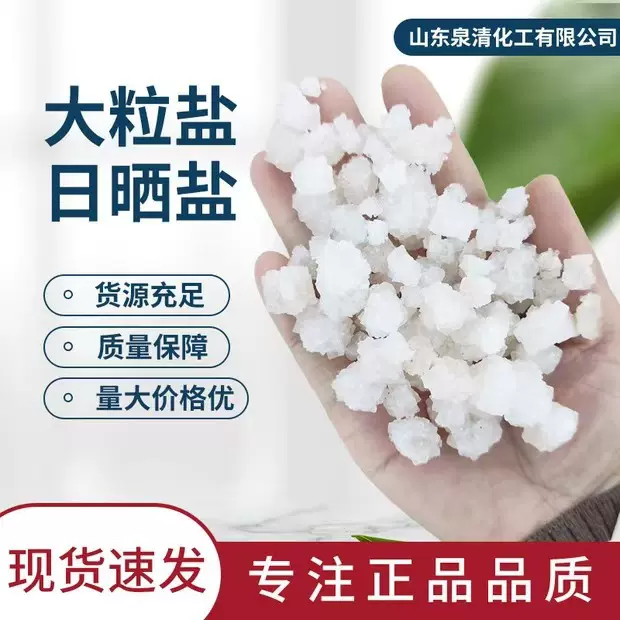 日晒 海盐工业级粗盐融雪盐水处理养殖大粒盐 工业盐