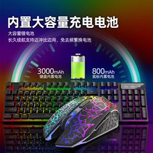 自由狼T3无线充电键盘鼠标套装游戏发光键鼠套装跨境ebay亚马逊