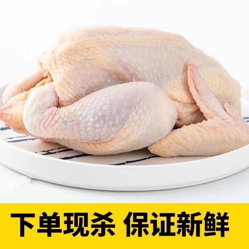 冻鸡批发农家散养三黄鸡散养走地童子鸡农家土鸡整鸡生鲜厂家直销
