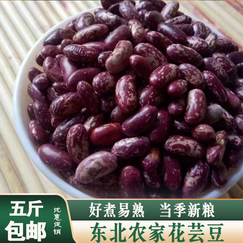 东北饭豆红花豆花芸豆四季豆紫花豆大碴粥专用花腰豆2斤5斤