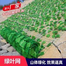 山体绿化网绿叶吊顶装饰网铁丝矿山防护复绿山坡边坡绿化山体覆盖