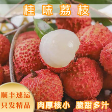 顺丰空运广东增城桂味荔枝新鲜当季时令现摘水果现发5斤礼盒装