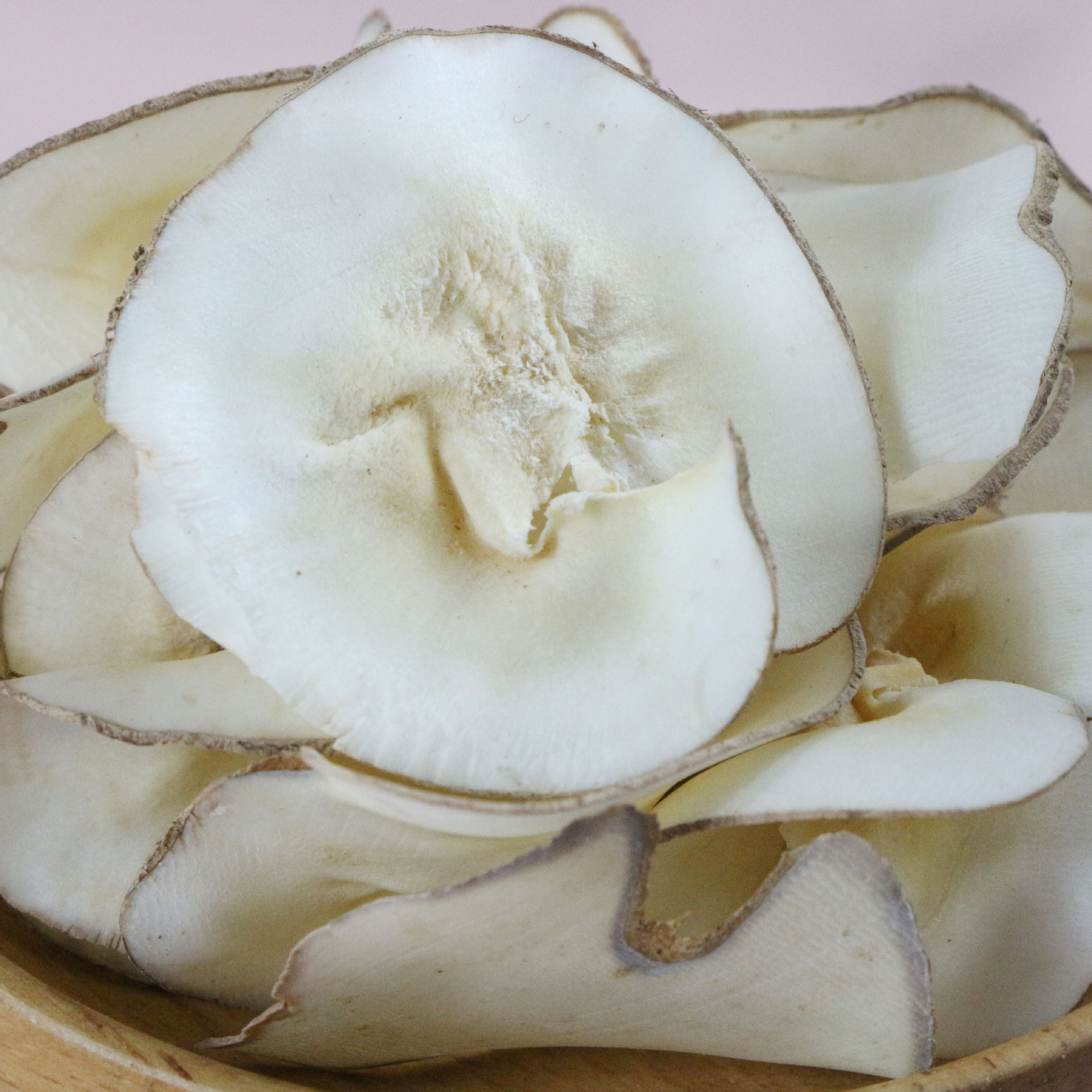 批发 海底椰 煲汤材料汤包滋补干货 椰片供货餐饮店 海味一件代发