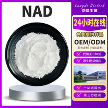 NAD烟酰胺腺嘌呤二核苷酸99% NAD+ 氧化型辅酶Ⅰ 现货 生物催化酶