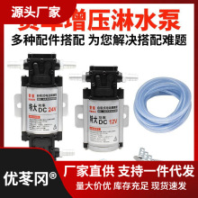 汽车增压泵24V12V水器淋自吸泵电动抽水泵水泵水器货车淋刹车