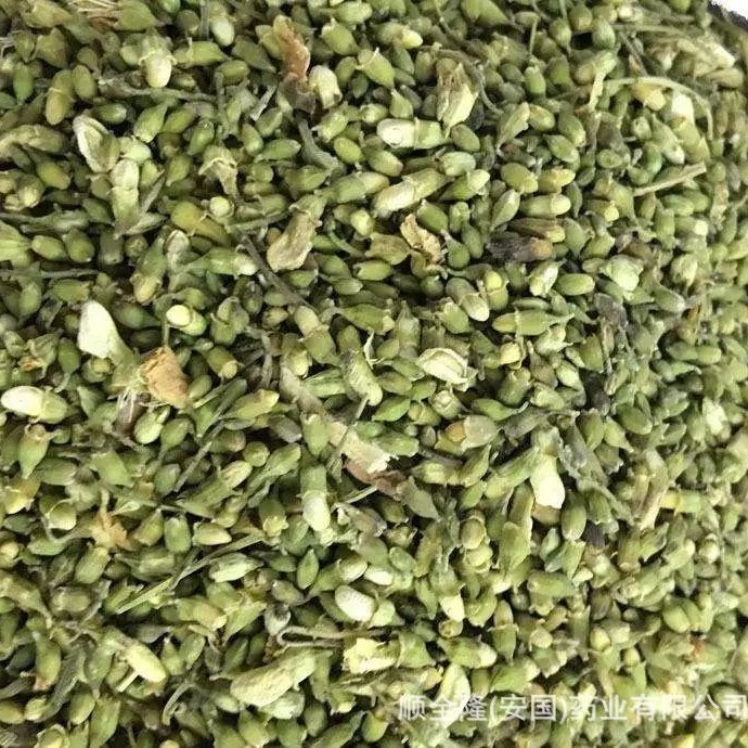 中草药 槐米 安国GMP认证企业厂家直销 批发零售 带合格证 质检