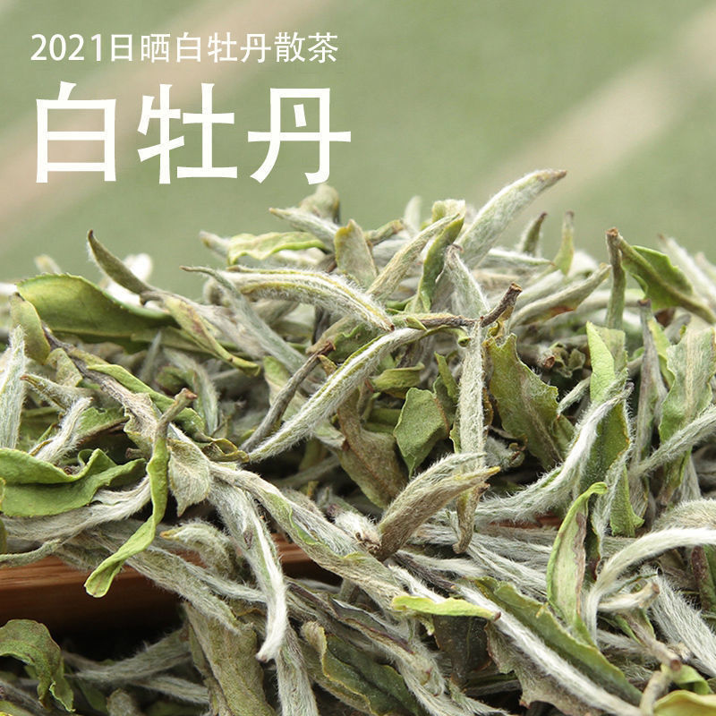 白牡丹茶的图片欣赏图片