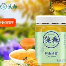 天然野生蜂蜜新鲜成熟枣花荆条椴树洋槐蜂蜜巢