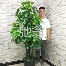 j都发财树仿真植物盆栽绿植塑料假树大型客厅落地假盆景装饰室内