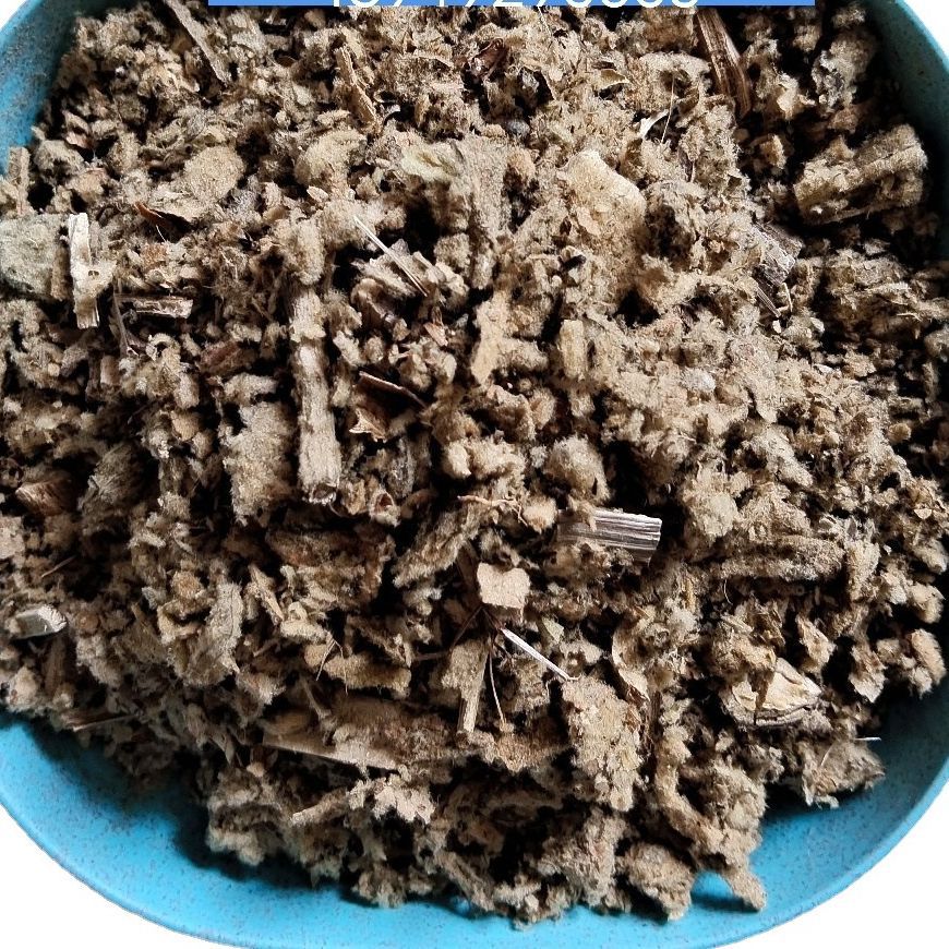 批发优质中药材 冷背药材 毛蕊花 一炷香 大毛叶 霸王鞭 纯净无杂