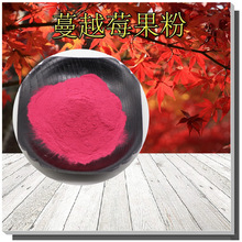 黑龙江野生蔓越莓果粉大兴安岭越橘粉原味红豆果粉100克纯粉包邮