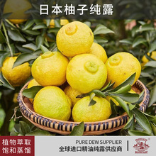 现货天然柚子精华纯露美容院护理化妆品原料蒸馏萃取植物纯露批发