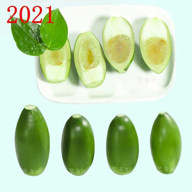 海南槟榔生果新鲜青嫩100克体验装 生槟榔青槟榔果乐东生冰榔戒