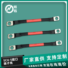 4平方高温线缆 蓄电池电瓶红黑硅胶线 SC4-5窥口接线铜鼻子连接线
