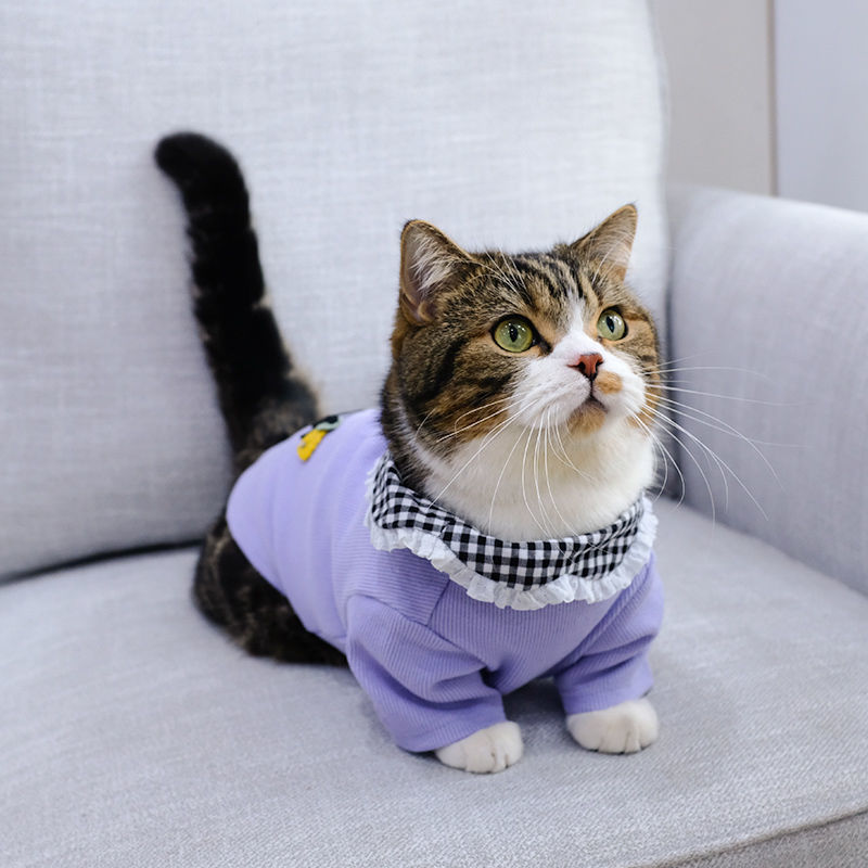 小猫咪衣服帅气春装薄款可爱春夏蓝猫英短防掉毛狗狗宠物夏装春天