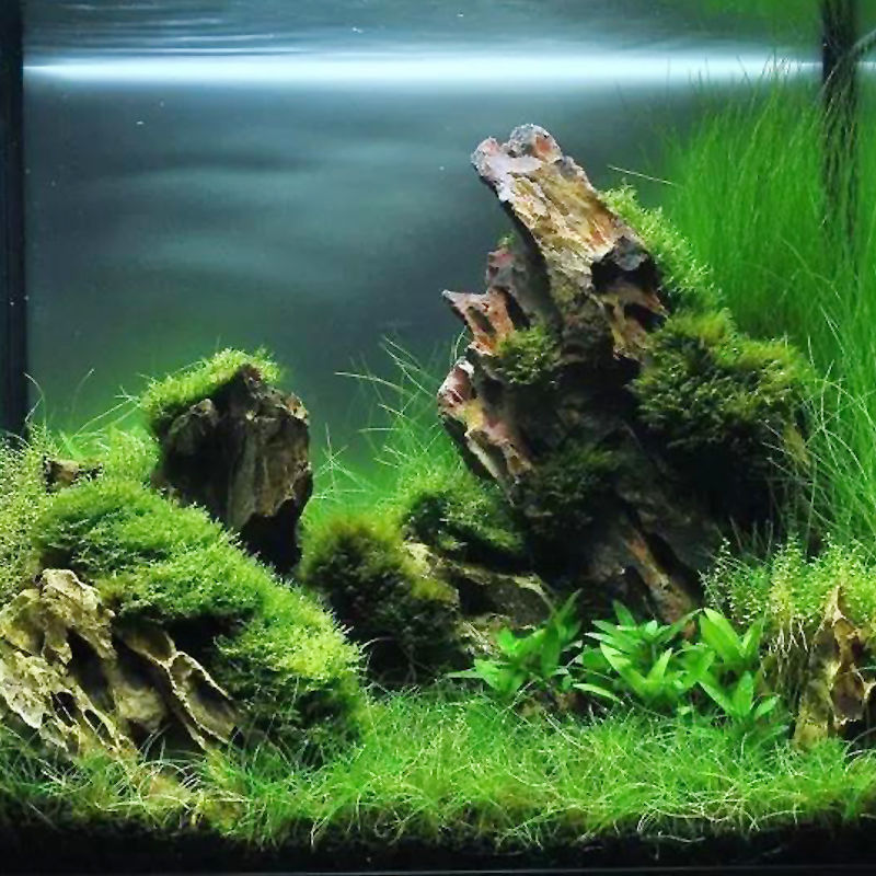 松皮石批发盆景造景小假山鱼缸水景骨架水族箱造型装饰石头