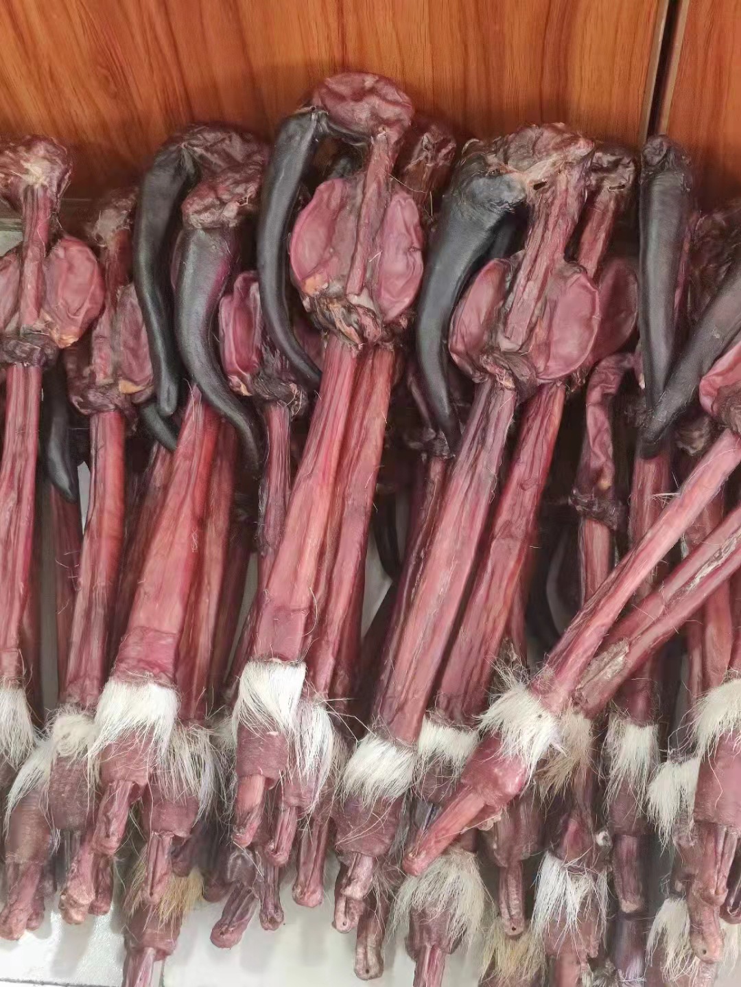 【东北参宝】吉林鹿鞭 马鹿鹿鞭批发礼盒包装鹿鞭整枝80-100g每支