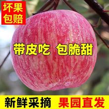 新鲜陕西红富士应季脆甜丑平果水果包邮批发5/0斤一整箱