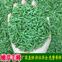 黄花针绿茶茶叶批发散装2025年新茶春茶黄山工艺毛峰嫩芽兰花香