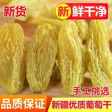 新货新疆吐鲁番特产无核白葡萄干大颗粒葡萄干蜜钱果干零食批发厂