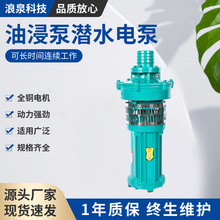 上海人民水泵QY油浸式多级电泵抽水机农用高杨程大流量清水潜水泵