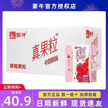 蒙牛小真果粒草莓味125ml*20/40盒小包装牛奶饮料整箱价批其他