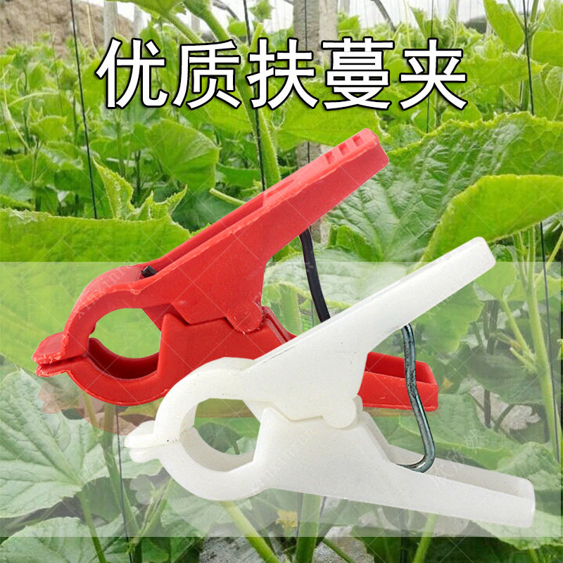 番茄西红柿黄瓜扶蔓夹绑蔓夹吊秧夹子吊蔓夹大棚蔬菜塑料吊秧扶蔓