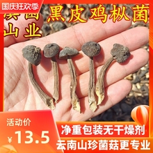 云南黑皮鸡枞菌干货 山珍特产50克装味道鲜蘑菇香菇美食用农产品