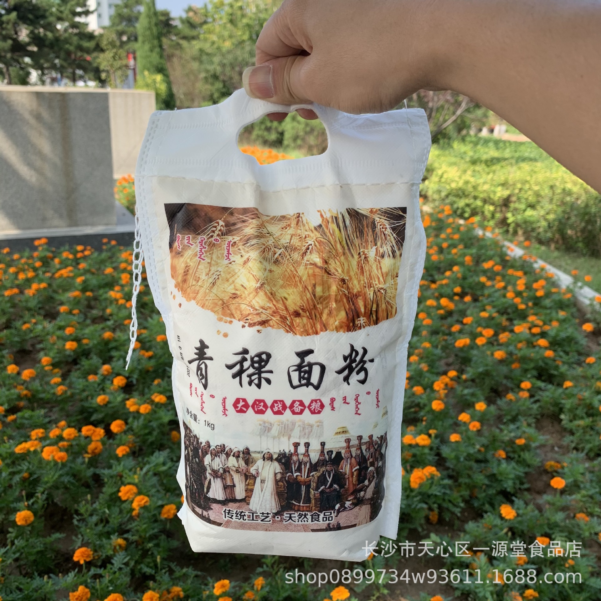 2斤青稞面粉小麦全麦粉袋装1kg家用面粉饺子粉会销团购旅游开业