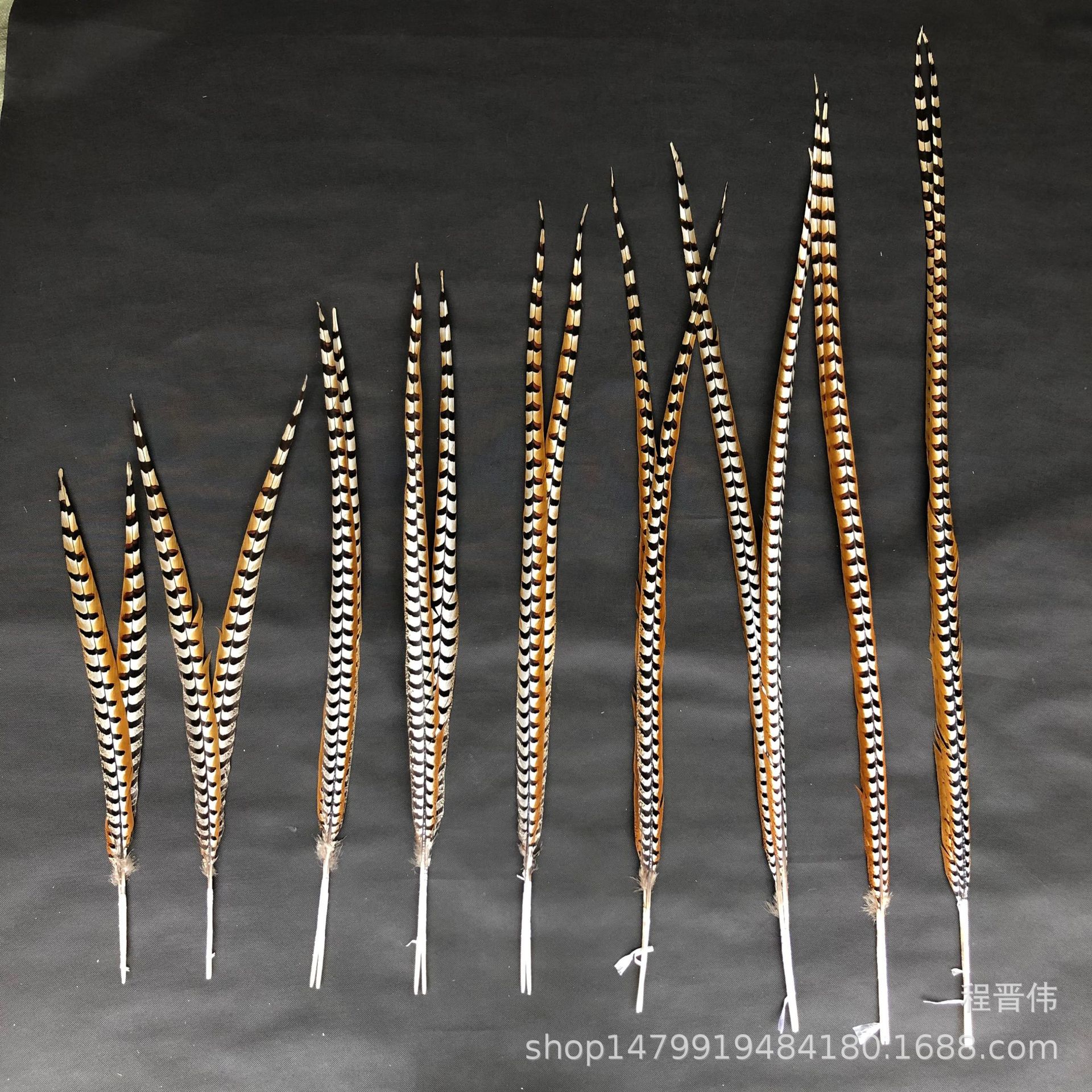 戏曲专用 优质地鸡翎子60-200cm 俏花旦头饰翎 羽毛完整鲜亮