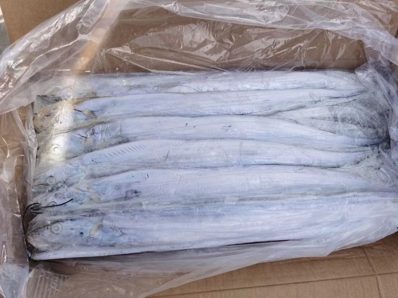 冷冻带鱼批发海水刀鱼新鲜整条黑眼睛带鱼净重20斤每箱