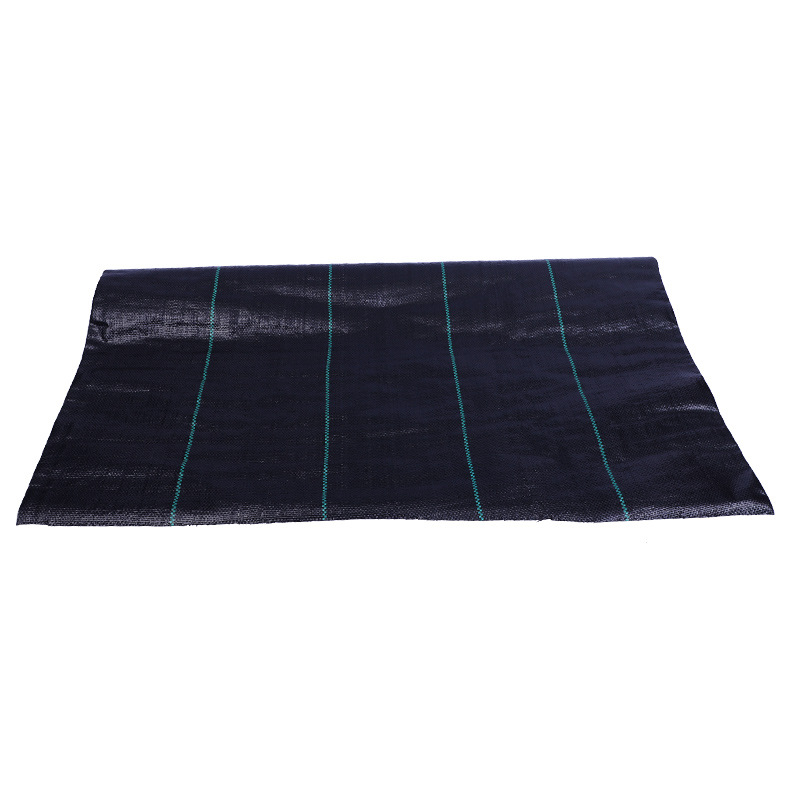 Factory Supply Anti-Grass Ground Cloth Anti-Aging Gardening Cloth Ground Cloth Pp Weeding Cloth Weeding Ground Cloth Breathable Greenhouse Ground Cloth