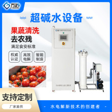 强碱性电解水加电水处理设备强碱水设备果蔬清洗杀菌保鲜去农残