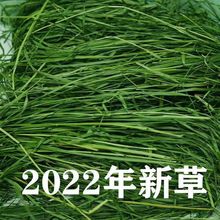 22年晒干提摩西草龙猫豚鼠荷兰猪兔兔饲料500克装3件包邮