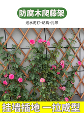 蔷薇爬藤架木栅栏围栏墙上月季支架壁挂室外阳台挂架花盆网格篱笆