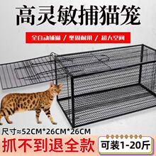 全自动捕猫笼大号抓猫神器逮流浪猫夹扑捉猫笼子抓捕猫器人道